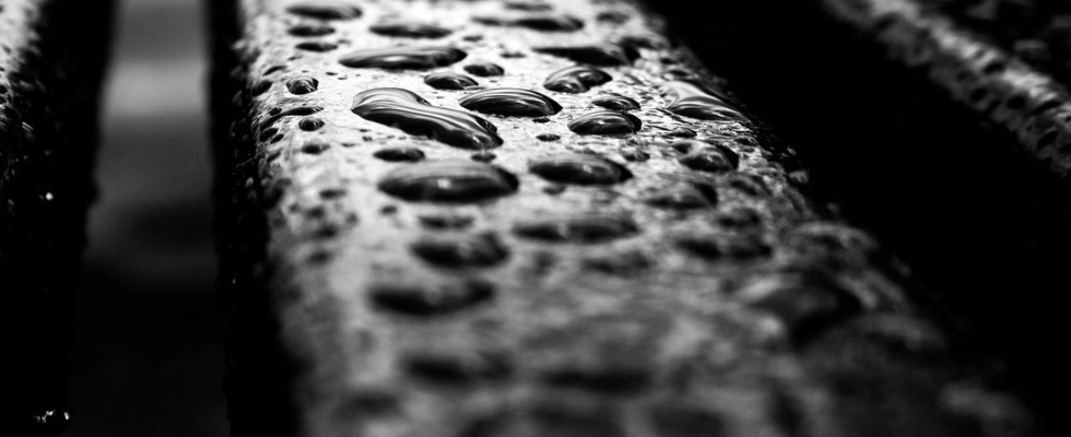 wet wood after soft wash pressure washing