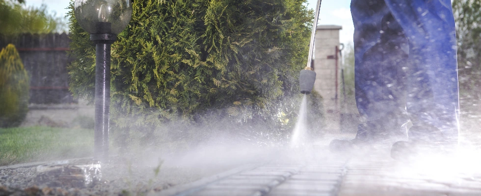 household bleach and sodium hypochlorite are used on driveways and surfaces