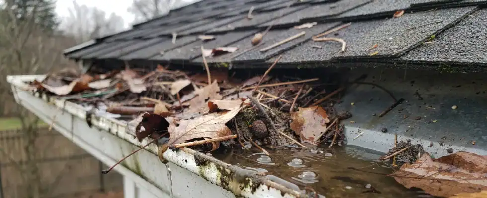 a clogged gutter filled with wet leaves, pine needles, and debris